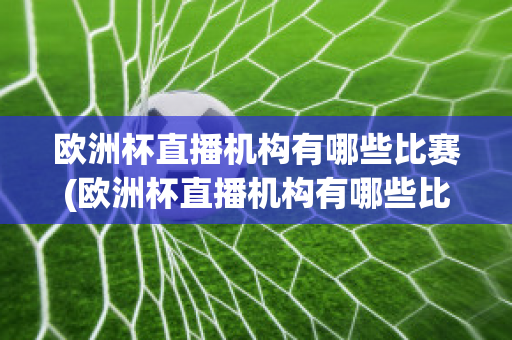 欧洲杯直播机构有哪些比赛(欧洲杯直播机构有哪些比赛名单)