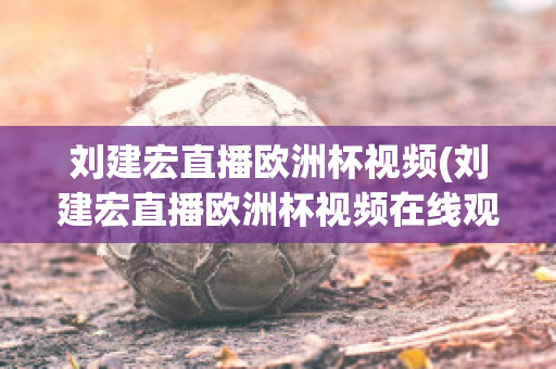 刘建宏直播欧洲杯视频(刘建宏直播欧洲杯视频在线观看)