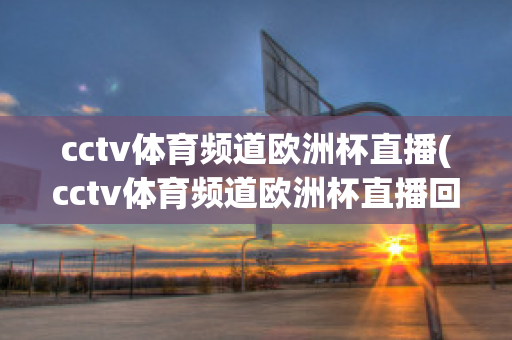 cctv体育频道欧洲杯直播(cctv体育频道欧洲杯直播回放)