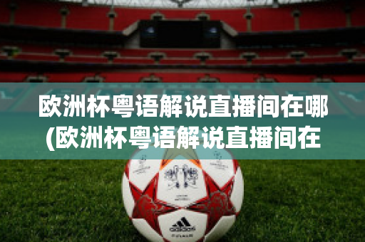 欧洲杯粤语解说直播间在哪(欧洲杯粤语解说直播间在哪举行)