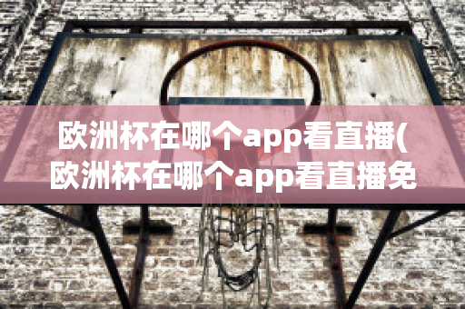 欧洲杯在哪个app看直播(欧洲杯在哪个app看直播免费)