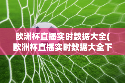 欧洲杯直播实时数据大全(欧洲杯直播实时数据大全下载)