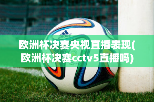 欧洲杯决赛央视直播表现(欧洲杯决赛cctv5直播吗)