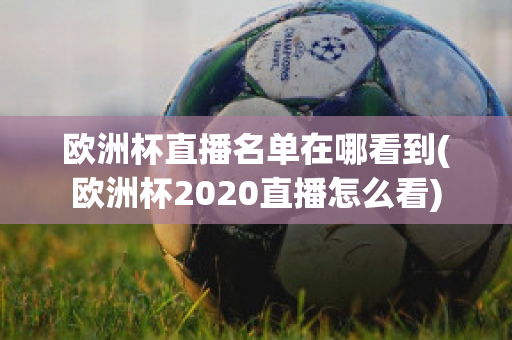 欧洲杯直播名单在哪看到(欧洲杯2020直播怎么看)