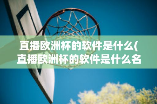 直播欧洲杯的软件是什么(直播欧洲杯的软件是什么名字)