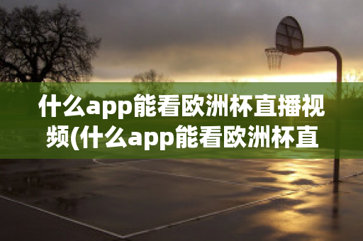 什么app能看欧洲杯直播视频(什么app能看欧洲杯直播视频的)