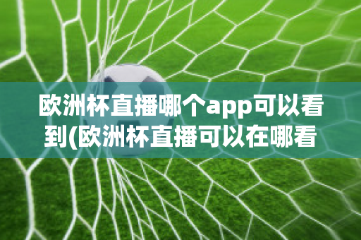 欧洲杯直播哪个app可以看到(欧洲杯直播可以在哪看)