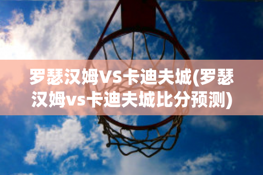 罗瑟汉姆VS卡迪夫城(罗瑟汉姆vs卡迪夫城比分预测)