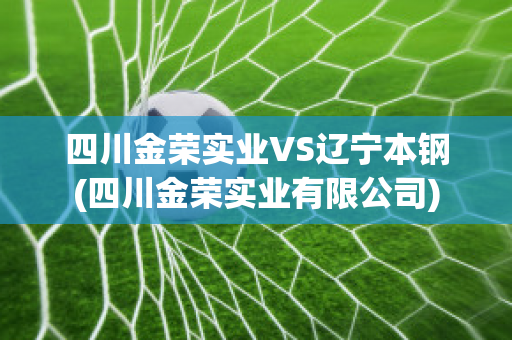 四川金荣实业VS辽宁本钢(四川金荣实业有限公司)