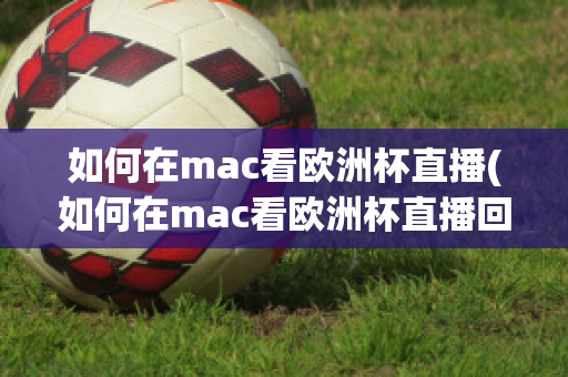 如何在mac看欧洲杯直播(如何在mac看欧洲杯直播回放)