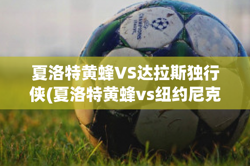 夏洛特黄蜂VS达拉斯独行侠(夏洛特黄蜂vs纽约尼克斯)