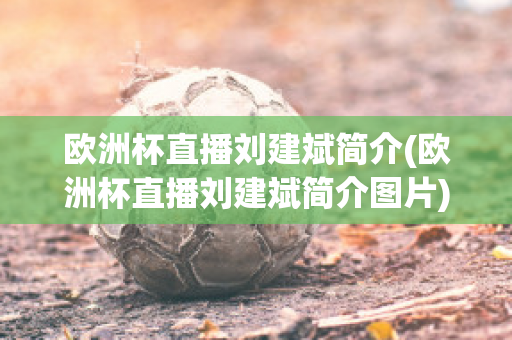 欧洲杯直播刘建斌简介(欧洲杯直播刘建斌简介图片)