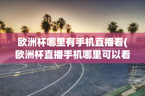 欧洲杯哪里有手机直播看(欧洲杯直播手机哪里可以看)