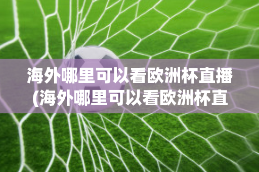 海外哪里可以看欧洲杯直播(海外哪里可以看欧洲杯直播电视)