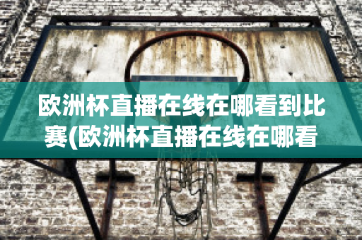 欧洲杯直播在线在哪看到比赛(欧洲杯直播在线在哪看到比赛回放)