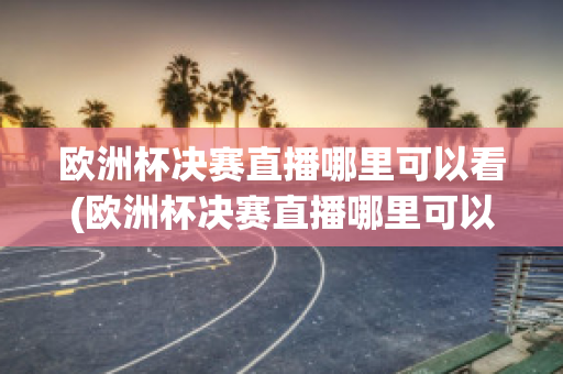 欧洲杯决赛直播哪里可以看(欧洲杯决赛直播哪里可以看啊)