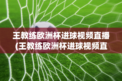 王教练欧洲杯进球视频直播(王教练欧洲杯进球视频直播在线观看)