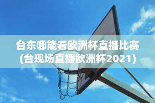 台东哪能看欧洲杯直播比赛(台现场直播欧洲杯2021)