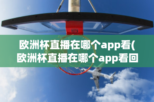 欧洲杯直播在哪个app看(欧洲杯直播在哪个app看回放)