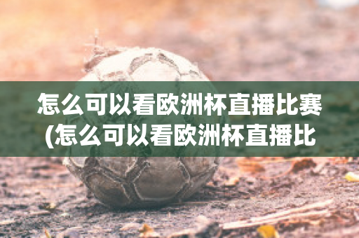 怎么可以看欧洲杯直播比赛(怎么可以看欧洲杯直播比赛回放)