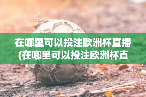 在哪里可以投注欧洲杯直播(在哪里可以投注欧洲杯直播呢)