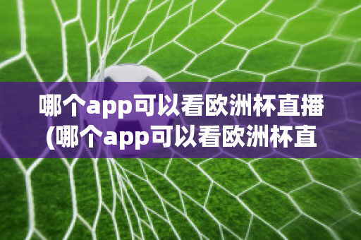 哪个app可以看欧洲杯直播(哪个app可以看欧洲杯直播视频)