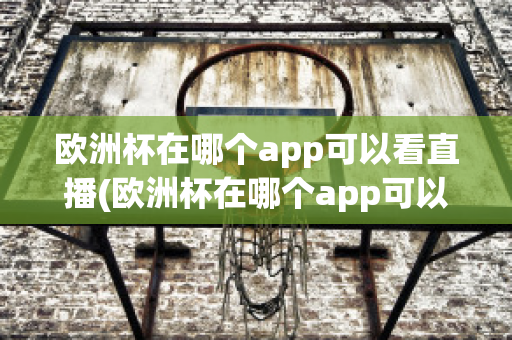 欧洲杯在哪个app可以看直播(欧洲杯在哪个app可以看直播的)