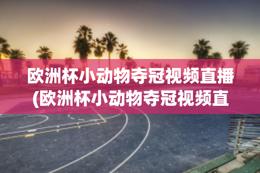 欧洲杯小动物夺冠视频直播(欧洲杯小动物夺冠视频直播在线观看)