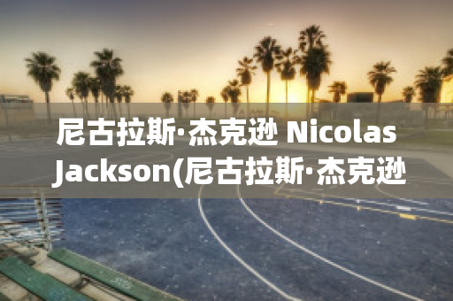 尼古拉斯·杰克逊 Nicolas Jackson(尼古拉斯·杰克逊身高)