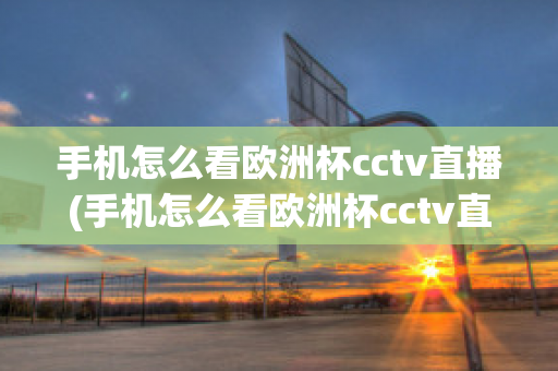 手机怎么看欧洲杯cctv直播(手机怎么看欧洲杯cctv直播回放)