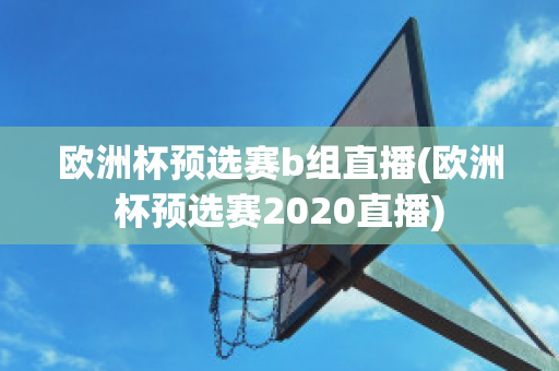 欧洲杯预选赛b组直播(欧洲杯预选赛2020直播)