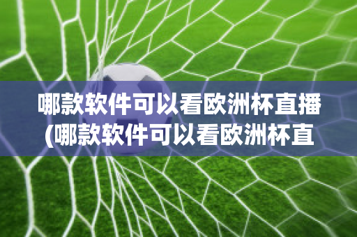 哪款软件可以看欧洲杯直播(哪款软件可以看欧洲杯直播回放)