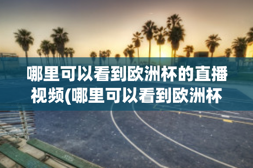 哪里可以看到欧洲杯的直播视频(哪里可以看到欧洲杯的直播视频回放)