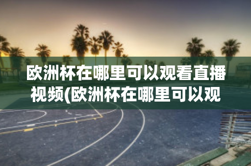 欧洲杯在哪里可以观看直播视频(欧洲杯在哪里可以观看直播视频啊)