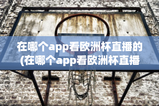 在哪个app看欧洲杯直播的(在哪个app看欧洲杯直播的直播)