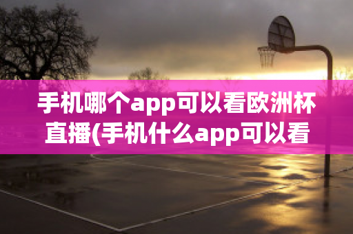 手机哪个app可以看欧洲杯直播(手机什么app可以看欧洲杯直播)