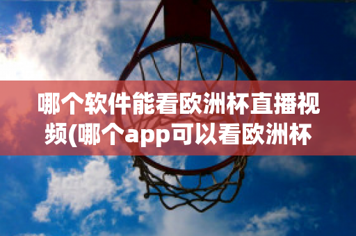 哪个软件能看欧洲杯直播视频(哪个app可以看欧洲杯直播)