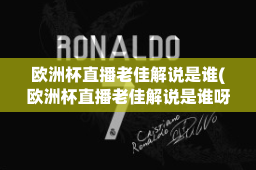 欧洲杯直播老佳解说是谁(欧洲杯直播老佳解说是谁呀)