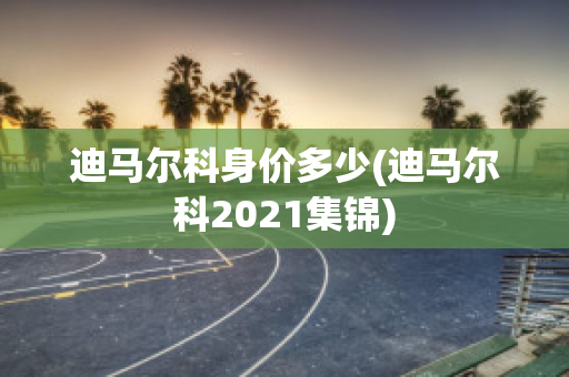 迪马尔科身价多少(迪马尔科2021集锦)