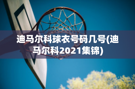 迪马尔科球衣号码几号(迪马尔科2021集锦)