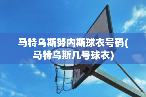 马特乌斯努内斯球衣号码(马特乌斯几号球衣)