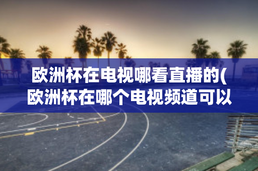 欧洲杯在电视哪看直播的(欧洲杯在哪个电视频道可以看)