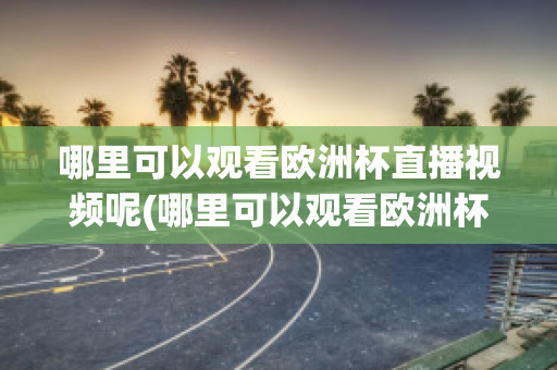 哪里可以观看欧洲杯直播视频呢(哪里可以观看欧洲杯直播视频呢英语)