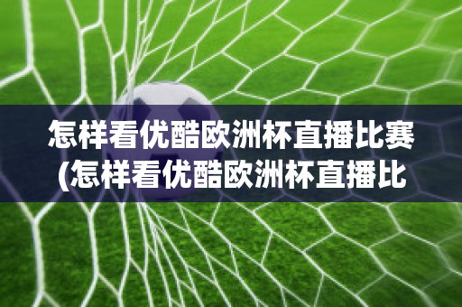 怎样看优酷欧洲杯直播比赛(怎样看优酷欧洲杯直播比赛回放视频)