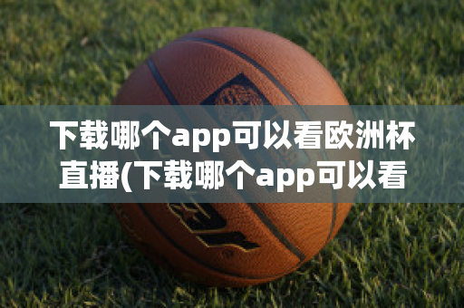 下载哪个app可以看欧洲杯直播(下载哪个app可以看欧洲杯直播视频)