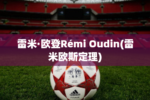 雷米·欧登Rémi Oudin(雷米欧斯定理)