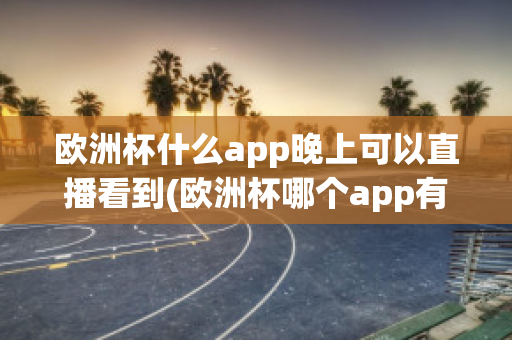 欧洲杯什么app晚上可以直播看到(欧洲杯哪个app有直播)