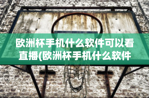 欧洲杯手机什么软件可以看直播(欧洲杯手机什么软件可以看直播回放)