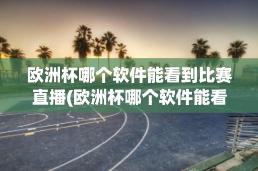 欧洲杯哪个软件能看到比赛直播(欧洲杯哪个软件能看到比赛直播视频)