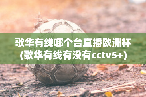 歌华有线哪个台直播欧洲杯(歌华有线有没有cctv5+)